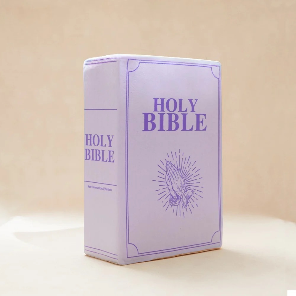 FETE bible pillow